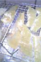 晩白柚（ばんぺいゆ）のパウンドケーキ写真サムネイル4